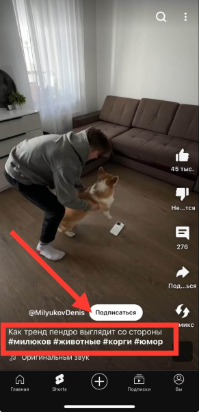 
											
							Как набрать много просмотров в YouTube Shorts &mdash; 16 способов						
									