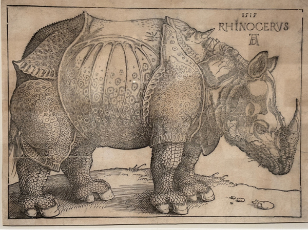 В Пушкинском музее открылась выставка экзотических животных